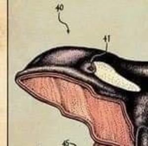 Meet your Posher, Levi